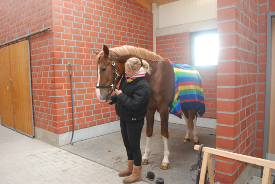 anbindertagesablauf01